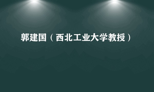 郭建国（西北工业大学教授）
