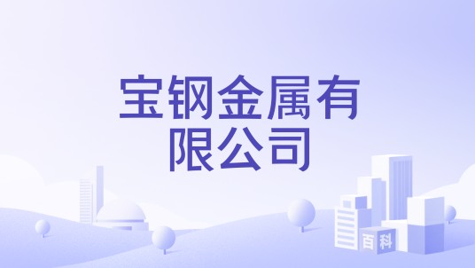 宝钢金属有限公司
