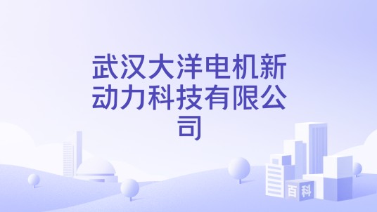 武汉大洋电机新动力科技有限公司