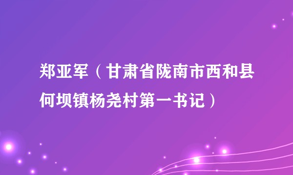 郑亚军（甘肃省陇南市西和县何坝镇杨尧村第一书记）