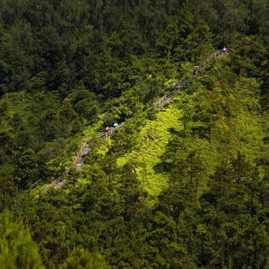 广东三岭山国家森林公园