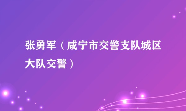 张勇军（咸宁市交警支队城区大队交警）