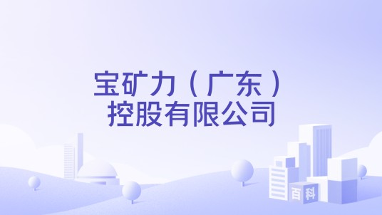 宝矿力（广东）控股有限公司