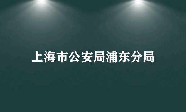 上海市公安局浦东分局
