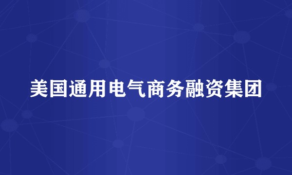 美国通用电气商务融资集团