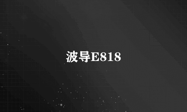波导E818
