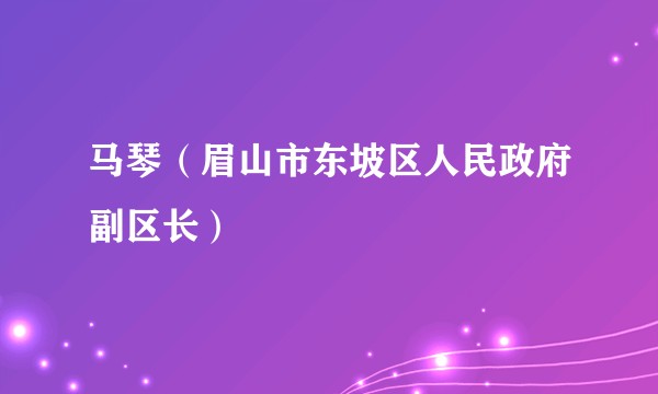 马琴（眉山市东坡区人民政府副区长）