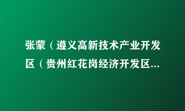 张蒙(遵义高新技术产业开发区(贵州红花岗经济开发区)管委会主任)