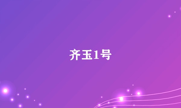 齐玉1号