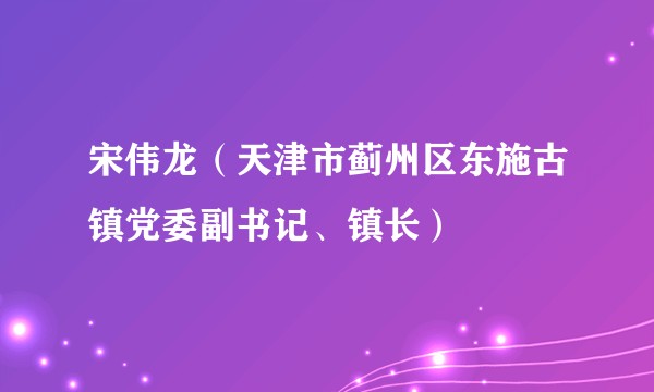 宋伟龙（天津市蓟州区东施古镇党委副书记、镇长）