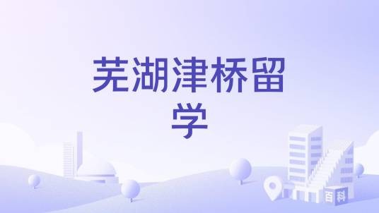 芜湖津桥留学