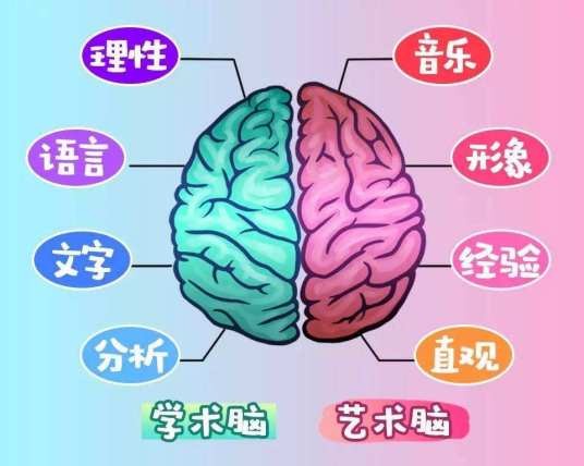 右脑潜能