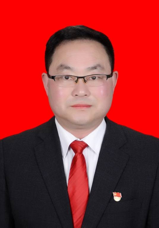 陈双(陕西省安康市岚皋县政协原副主席)