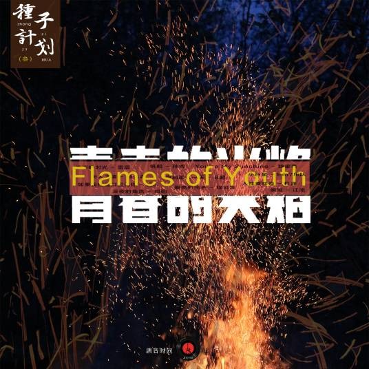 姐姐(2021年江流演唱歌曲)