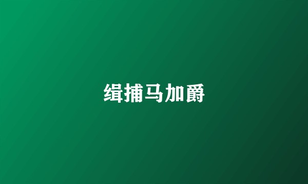 缉捕马加爵