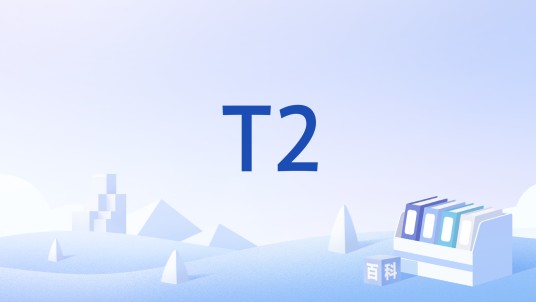 T2（《魔兽世界》20周年纪念游戏套装）