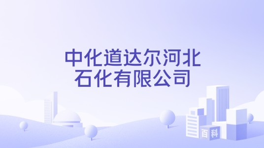 中化道达尔河北石化有限公司
