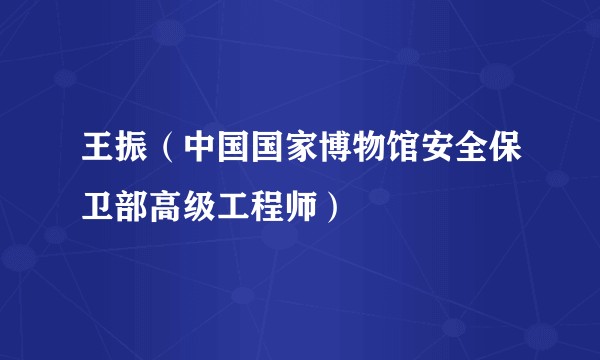 王振（中国国家博物馆安全保卫部高级工程师）
