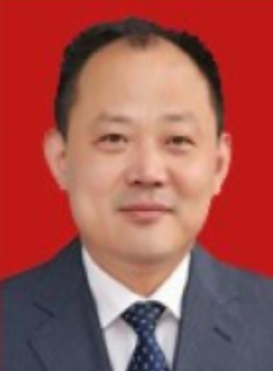韩锋（安徽省六安市舒城县委书记、县人武部党委第一书记）