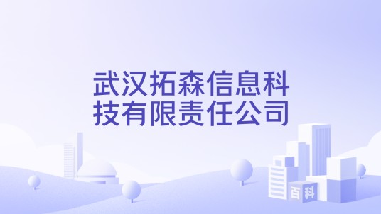 武汉拓森信息科技有限责任公司