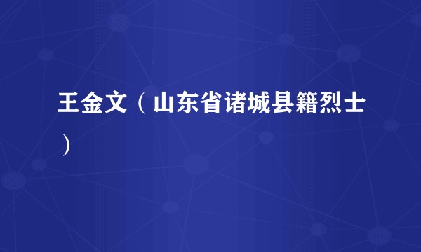 王金文（山东省诸城县籍烈士）