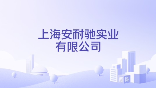 上海安耐驰实业有限公司