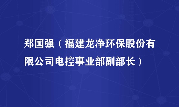 郑国强（福建龙净环保股份有限公司电控事业部副部长）