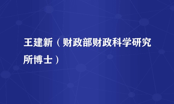 王建新（财政部财政科学研究所博士）