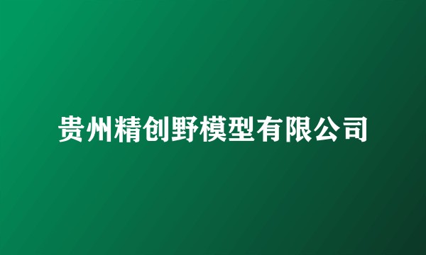 贵州精创野模型有限公司