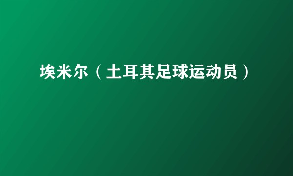 埃米尔（土耳其足球运动员）