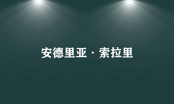 安德里亚·索拉里
