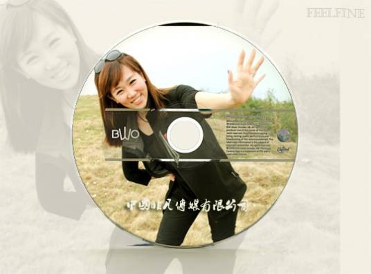 朱莹(主持人)