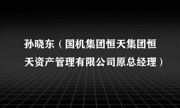 孙晓东（国机集团恒天集团恒天资产管理有限公司原总经理）