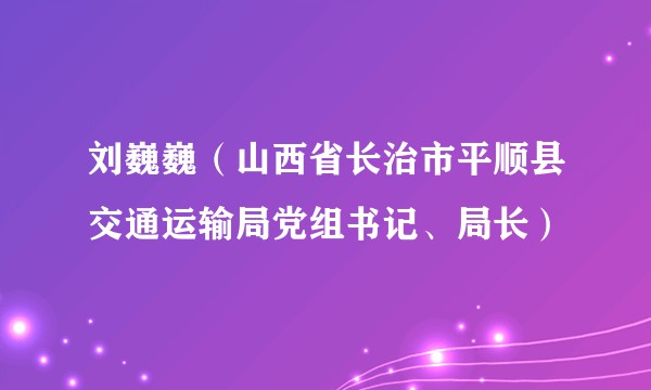 刘巍巍（山西省长治市平顺县交通运输局党组书记、局长）