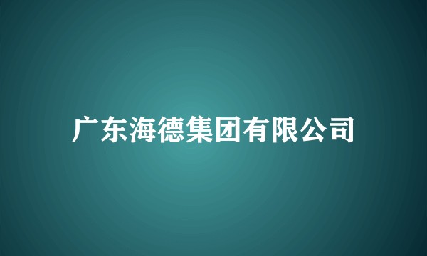 广东海德集团有限公司