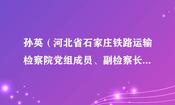 孙英(河北省石家庄铁路运输检察院党组成员、副检察长、检察委员会委员、检察员)