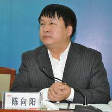 陈向阳（山东钢铁集团有限公司原副总经理）