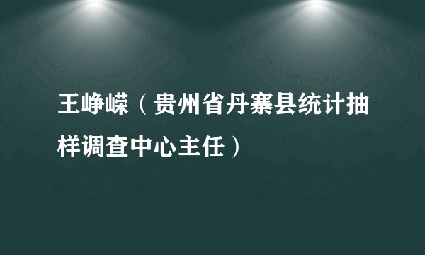 王峥嵘（贵州省丹寨县统计抽样调查中心主任）