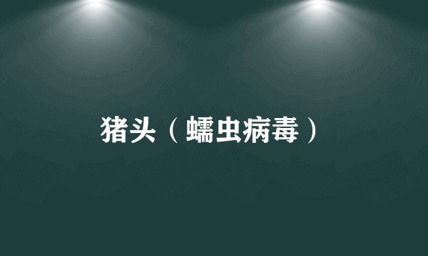 猪头（蠕虫病毒）