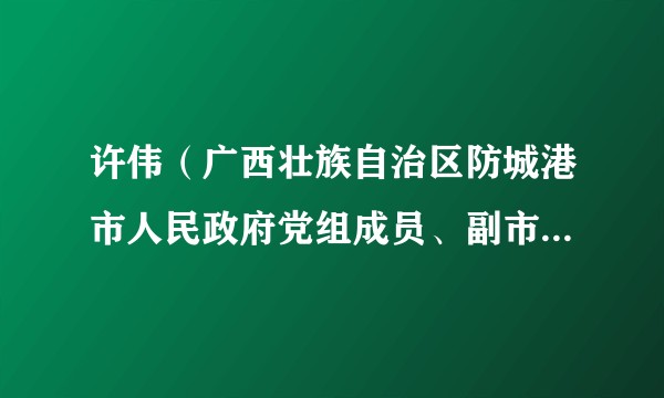 许伟（广西壮族自治区防城港市人民政府党组成员、副市长、防城港市红十字会会长（兼））
