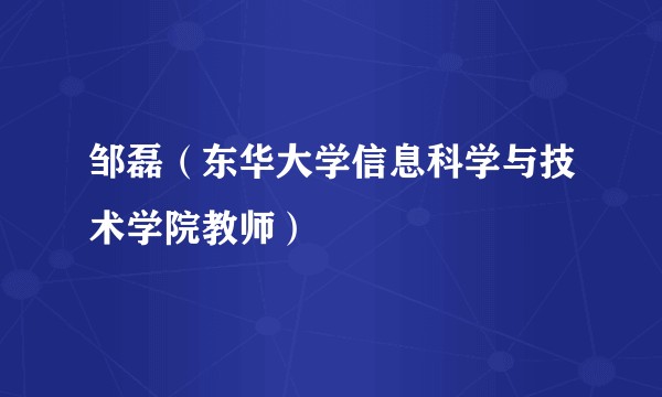 邹磊（东华大学信息科学与技术学院教师）