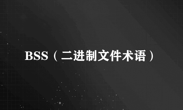 BSS（二进制文件术语）