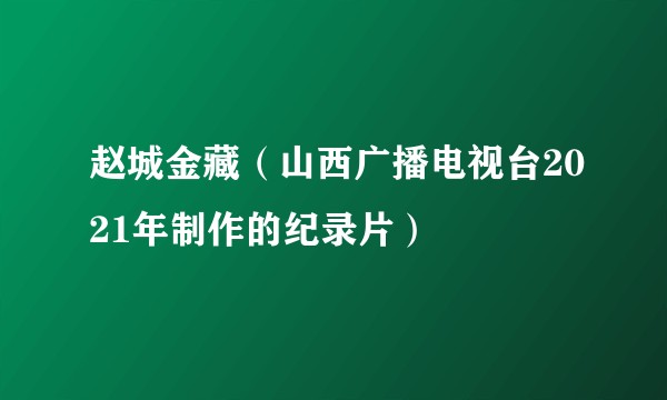赵城金藏（山西广播电视台2021年制作的纪录片）