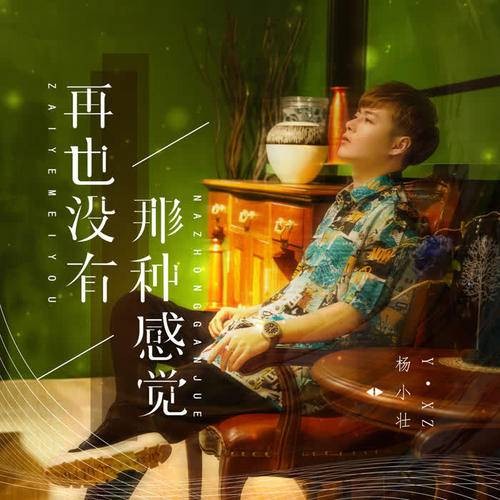 再也没有那种感觉(杨小壮2020年演唱的歌曲)