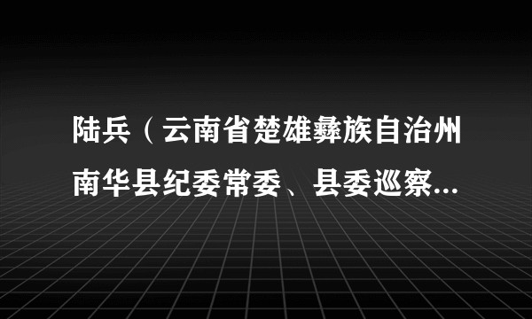 陆兵（云南省楚雄彝族自治州南华县纪委常委、县委巡察办主任）