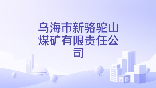 乌海市新骆驼山煤矿有限责任公司