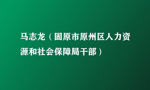 马志龙（固原市原州区人力资源和社会保障局干部）