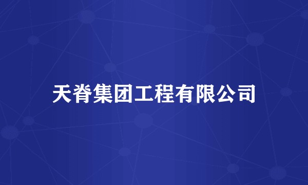天脊集团工程有限公司