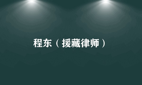 程东（援藏律师）