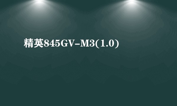 精英845GV-M3(1.0)
